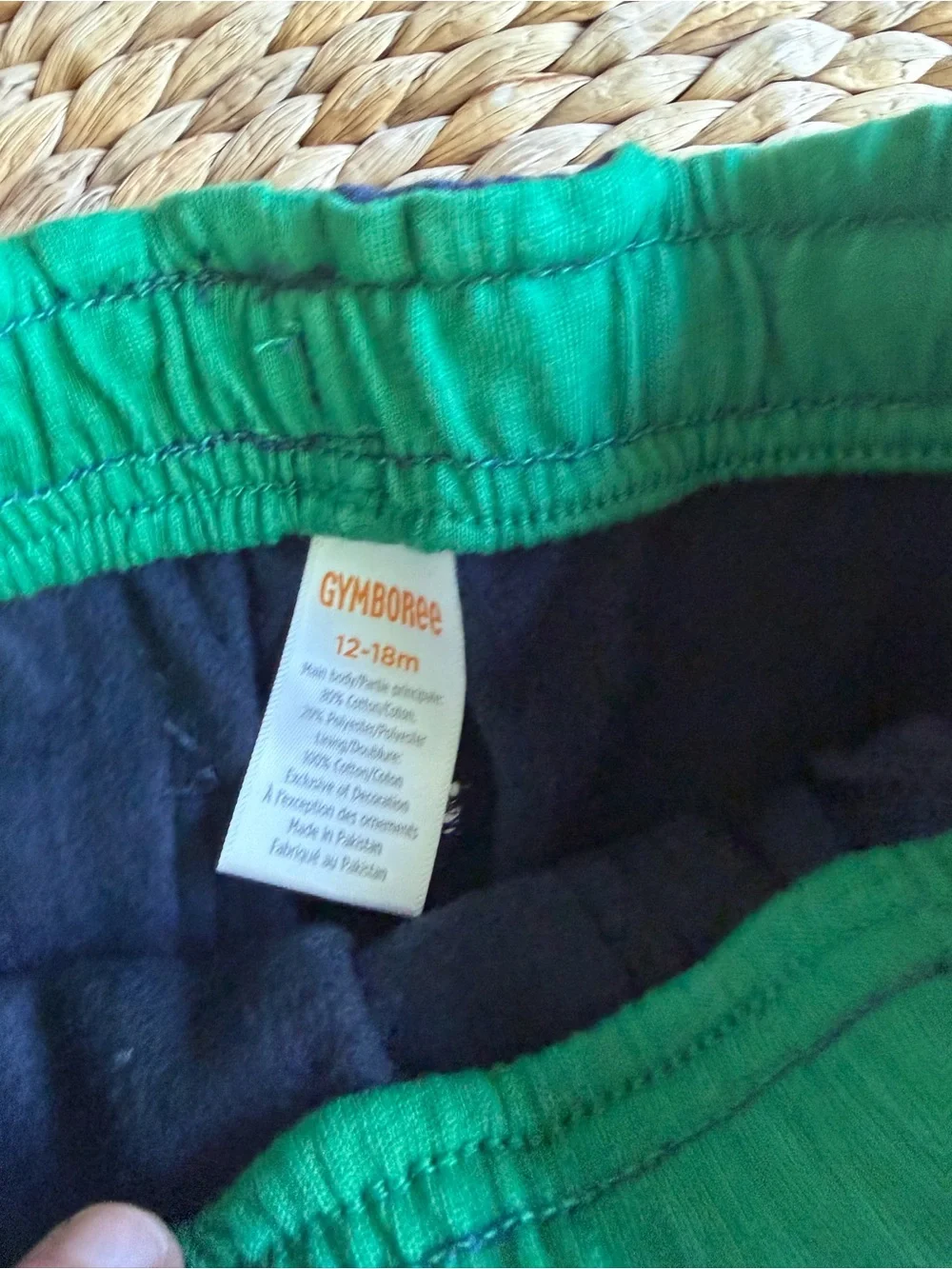 Gymboree Dragon Fleece Pants